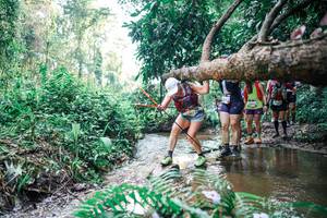 BIB: 
                            <button type="button" onclick="openModal(25458905)" class="btn btn-primary btn-sm float-right btn-popup" data-toggle="modal" data-target=".modal-high-quality">
                        <i class="fas fa-shopping-cart"></i> Add to Cart
                    </button>
                                            <button type="button" onclick="isThisMe(25458905, true)" class="btn btn-success btn-sm float-right btn-popup btn-isme hidden" data-toggle="tooltip" data-placement="bottom" title="นี่คือรูปของคุณใช่ไหม คลิกที่นี่เพื่อเอาเข้าอัลบั้ม">
                        <i class="fas fa-plus"></i> Add to album
                    </button>
                    <button type="button" onclick="isThisMe(25458905, false)" class="btn btn-warning btn-sm float-right btn-popup btn-isnotme hidden">
                        <i class="fas fa-ban"></i> Remove from album
                    </button>